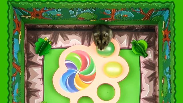 ? Game Maze Game AMONG US For Hamster. SECRET ROOM Among Us