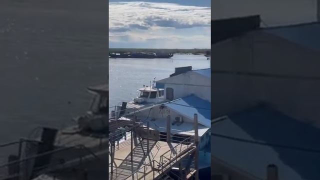 Проводы друзей на рыбалку смотреть онлайн