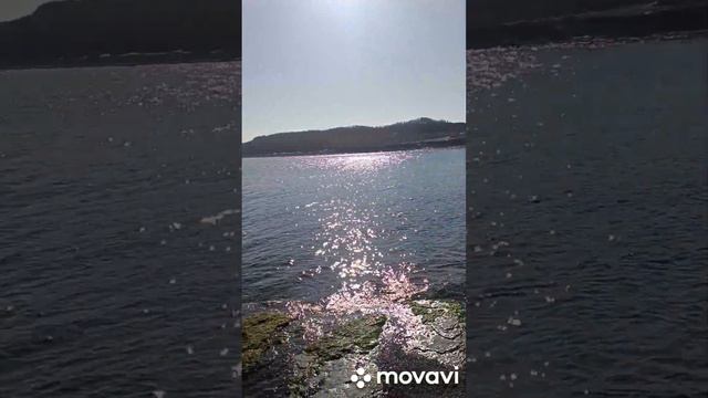 это видео заряженное на исполнение желания, идем в бухту исполнения желаний и 2 днем зимы смотреть онлайн