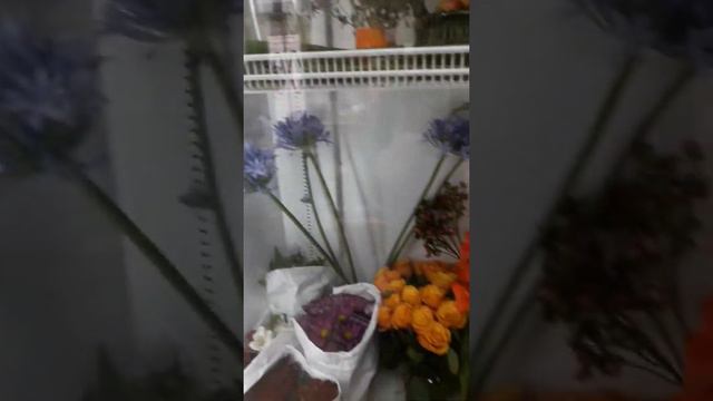 29 октября Ленина 10 АСТРАХАНЬ смотреть онлайн