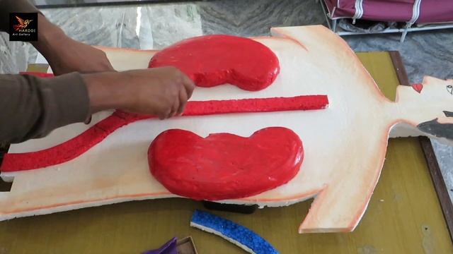Human Kidney Working Model मानव किडनी कार्य मॉडल Bio model смотреть онлайн
