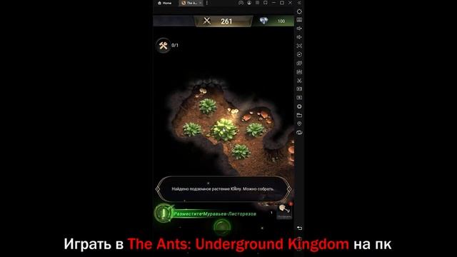 Как играть в The Ants: Underground Kingdom на ПК? смотреть онлайн