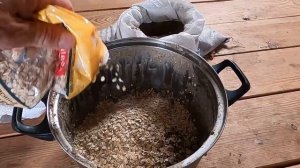 Питание борзых собак