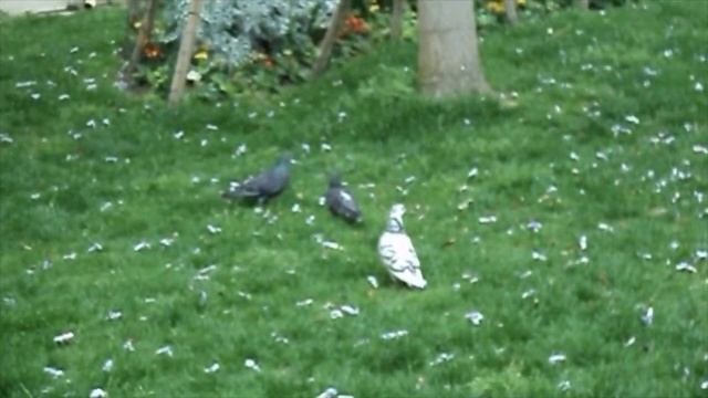 paris 2023 | Sony DSC-S2100 смотреть онлайн