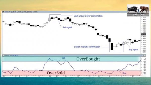 William % R (Williams’ Percentage Retracement (%R) ) Indicator _100% Profit Gain