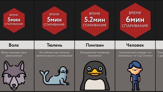 Время Спаривания Животных смотреть онлайн