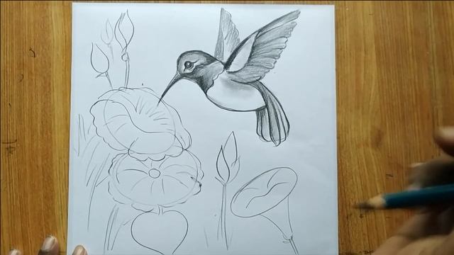 how to draw easy bird and flowers step by step with pencil sketch for beginners,easy bird drawing, смотреть онлайн