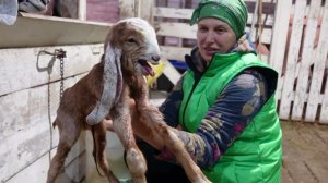 МАЧЕХА ДЛЯ НАШИХ МАЛЫШЕЙ