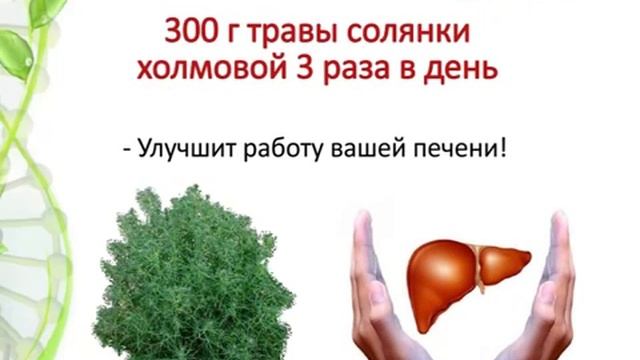 Биолит - все в одной чайное ложке смотреть онлайн