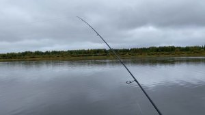Река Шелонь Новгородская область