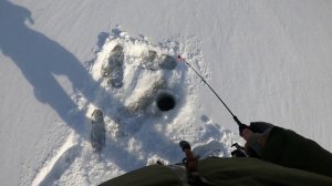 Ловля окуня на балансиры в глухозимье.