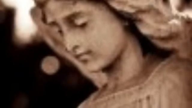 Sonnet 81 смотреть онлайн