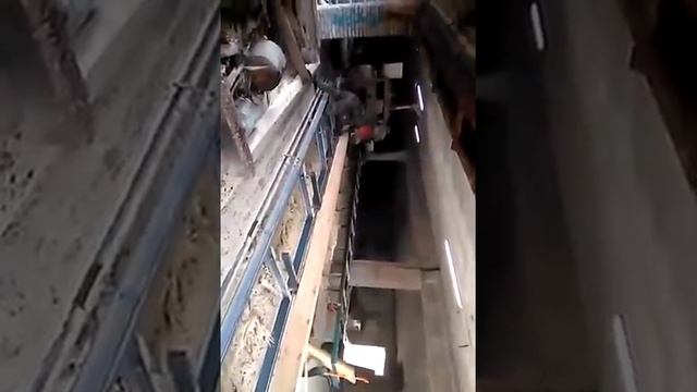 Процесс распиловки леса смотреть онлайн