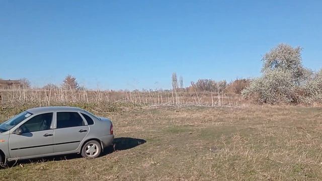 #карась #рыбалка #рыбалка2021 смотреть онлайн