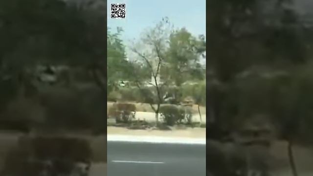 Жители Актау сняли на видео изнасилование женщины на улице смотреть онлайн
