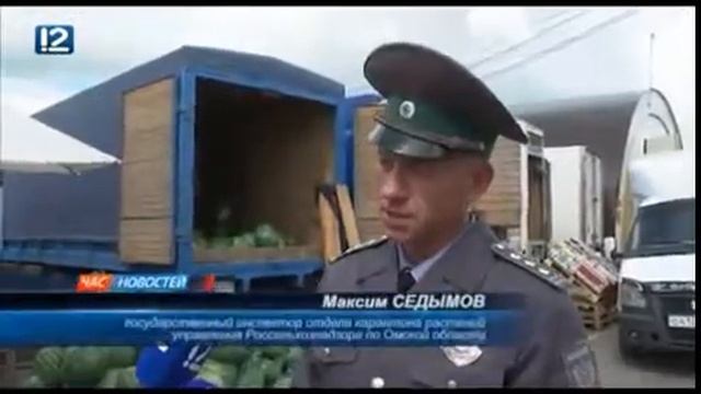 В Омскую область везут арбузы смотреть онлайн