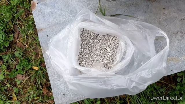 Осінній догляд за гібіскусом🌺 смотреть онлайн