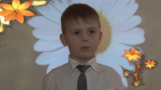 Стихотворение "Ромашки" Бунин А. смотреть онлайн