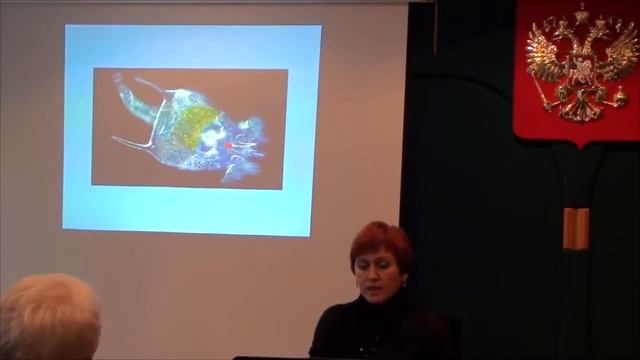 Наша кровь под микроскопом! Тарасова Лариса Николаевна, 29 10 2017 смотреть онлайн