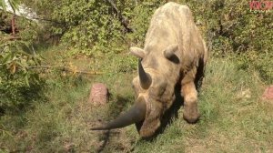 ДИНОЗАВРЫ в Москве!!! Обзор детского парка развлечений СКАЗКА  Динопарк и ICE - парк в Крылатском