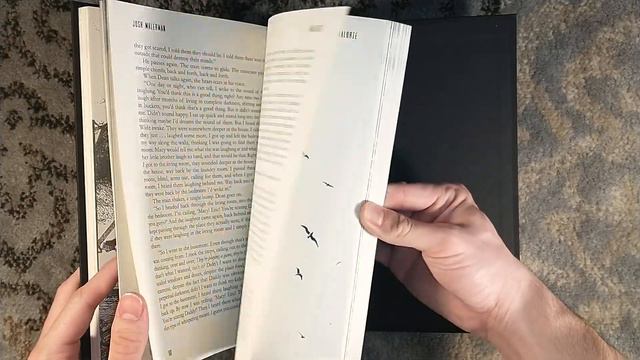 Unboxing Malorie by Josh Malerman - Dark Regions Press Special Edition Book - Glenn Chadbourne Art смотреть онлайн