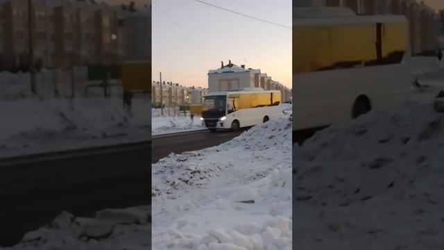ПАЗ 320405-04 || г. Ишим #автобус #ПАЗ смотреть онлайн