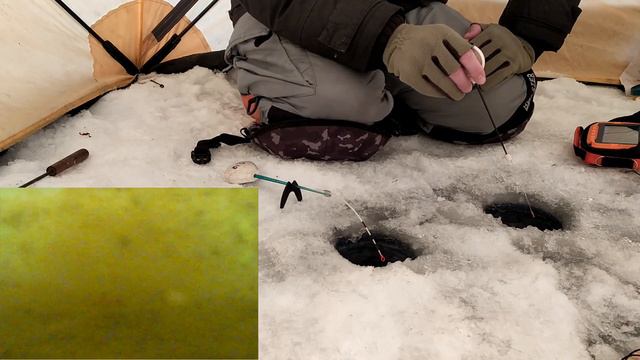 Когда рыба не клюет. Взгляд из подо льда смотреть онлайн