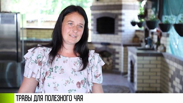 В лес за травами для полезного чая смотреть онлайн