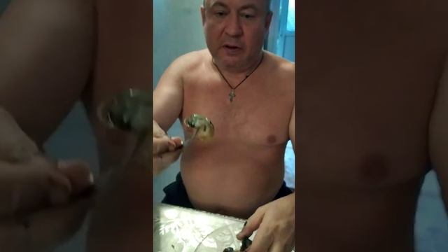 Как приготовить свежих рапанов ?? *1 часть* смотреть онлайн