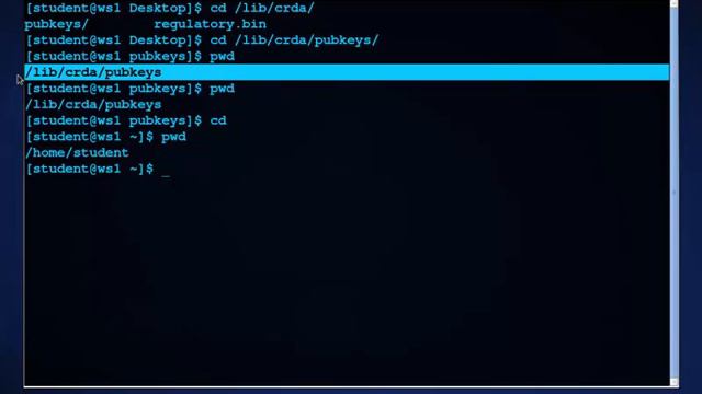 Navigating the Command Line with cd and pwd смотреть онлайн