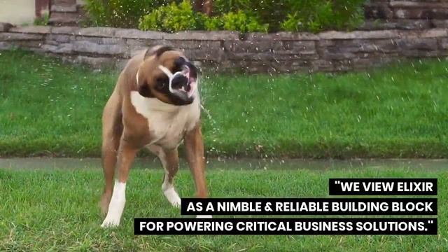 #MyTopdogStatus from the PepsiCo eCommerce team смотреть онлайн