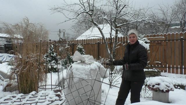 Новинка! 2 в 1 Опора + каркас для роз. смотреть онлайн