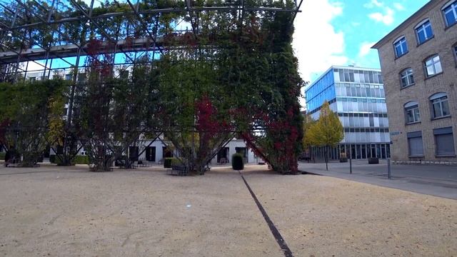 Осень в Швейцарии | Цюрих MFO-Park Осенью | Жизнь в Швейцарии смотреть онлайн