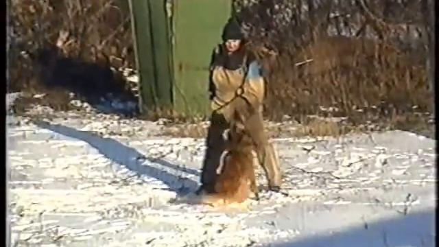 Gamlet_IPO-C.wmv смотреть онлайн
