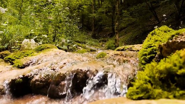 Peaceful Music, Relaxing Music, Instrumental Music 