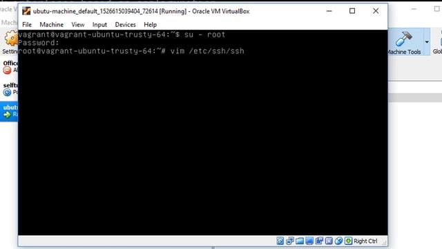 SSH to Vagrant machine using username and password смотреть онлайн