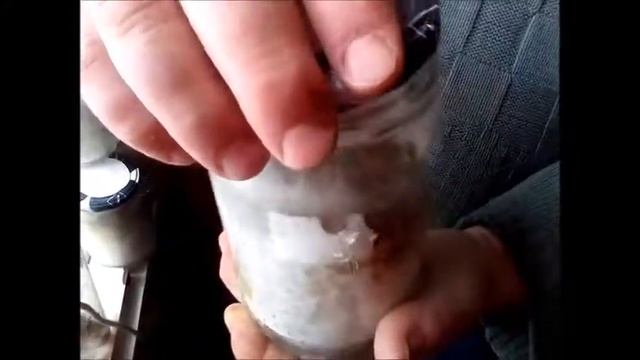 Сопротивляемость мицелия вешенки патогенной флоре смотреть онлайн