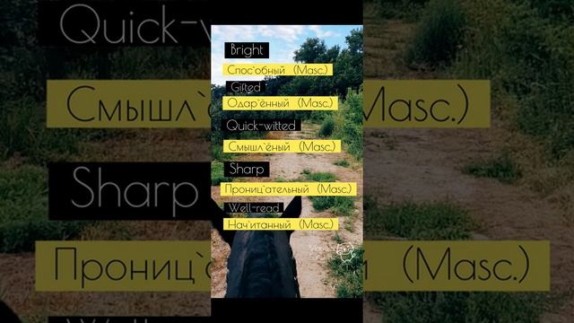 All about mind in Russian. Всё про разум на английском. Daily Russian. Уроки английского. смотреть онлайн