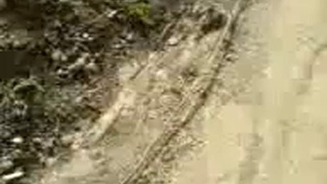 Глупая птица смотреть онлайн