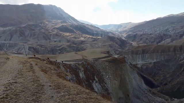 Что я делаю с навозом ! смотреть онлайн