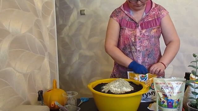 Готовлю грунт для пересадки эустомы на пмж.31.03.2019 смотреть онлайн