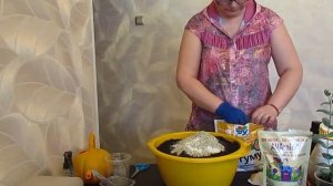 Готовлю грунт для пересадки эустомы на пмж.31.03.2019