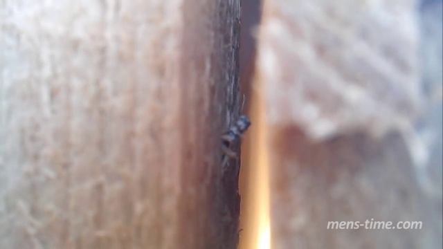 Как не надо обшивать вагонкой смотреть онлайн