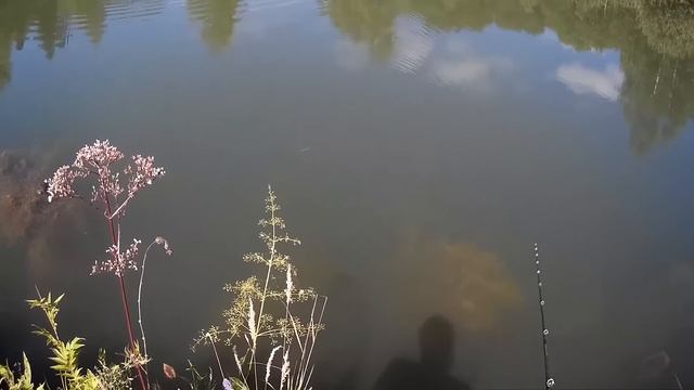 TsuYoki Flirt 115SP смотреть онлайн