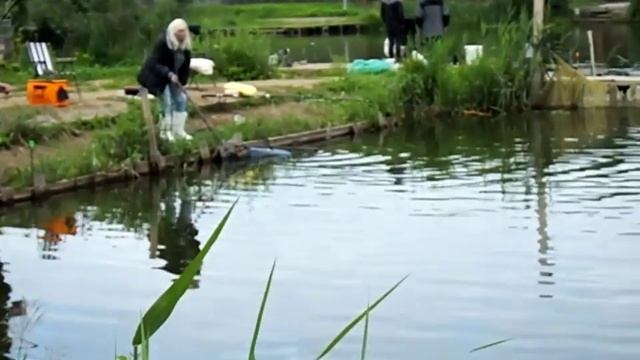 Платная рыбалка Пирогово - Коргашино смотреть онлайн