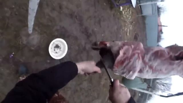 Разделка бобра часть 3 смотреть онлайн