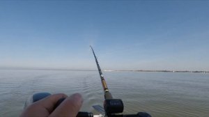 Ловля судака троллингом в Финском заливе