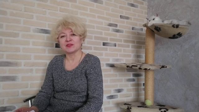 Рыцарь дня/Стихи - Лариса Анатольева. Читает автор смотреть онлайн