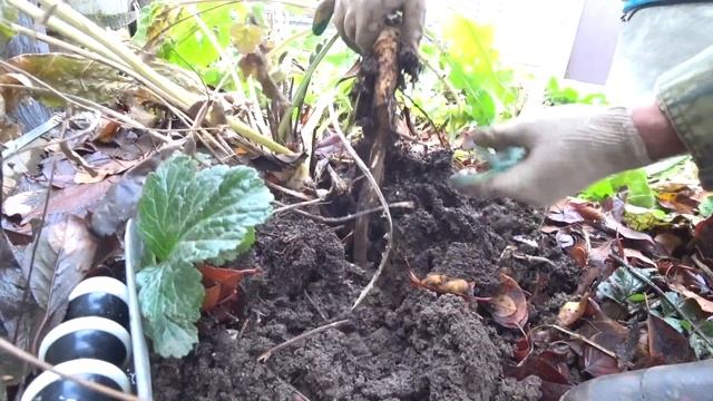 Мастерская Талантов