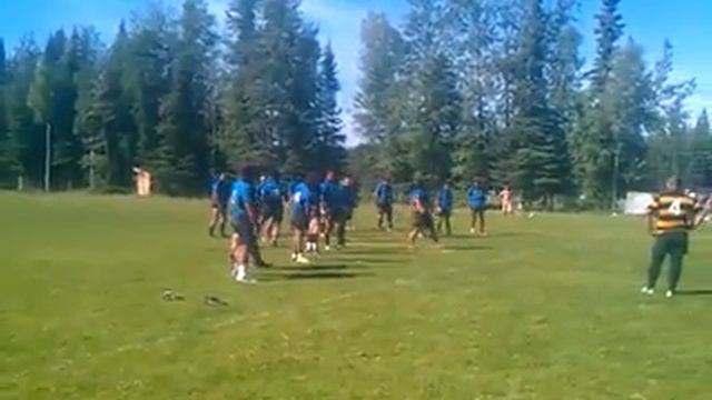Manu bear's rugby team haka. смотреть онлайн